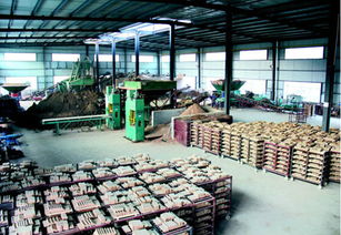 通江福德源陶瓷廠建成投產，投資管理助力地方經濟，新增就業崗位200個